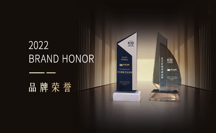 中国厨卫行业高峰论坛与中国厨卫榜颁奖典礼于11月18日在广东圆满落幕。在行业同好的见证下，帝王荣登两项榜单：《十大智能卫浴品牌》、《全卫定制领跑品牌》。