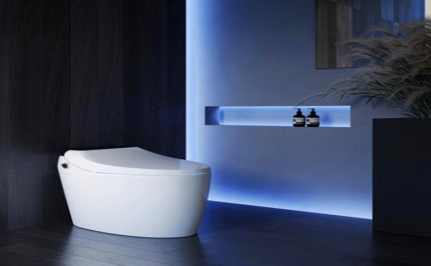 整体卫浴十大品牌-智能卫浴-智能坐便器-卫浴橱柜-浴室柜-帝王花洒|浴室柜图片